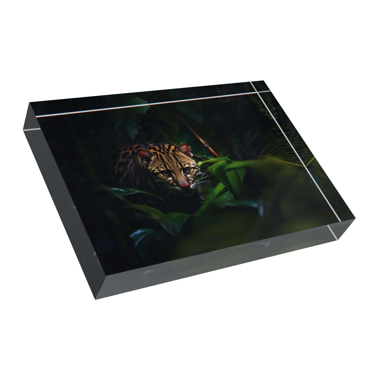 Wildlife Photo Block - Stunning Jungle Cat Decor - Buy Now at shWildlife Photo Block - Stunning Jungle Cat DecorHome DecorPrintifyShekh Brend24438984905657206385op_name